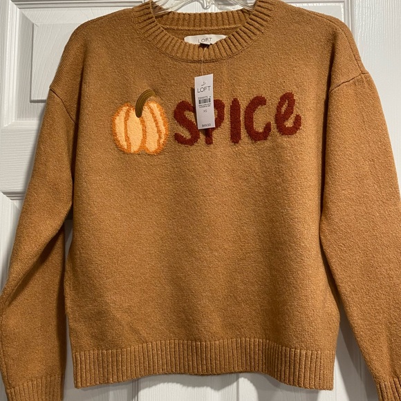 LOFT Sweaters - Loft pumpkin spice sweater size xs